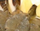 泰式玻璃蝦刺身 (20隻裝)